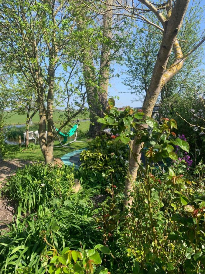 Very Nice Cottage In Durgerdam, With Private Garden, Free Parking, Pets Allowed Amsterdam Exterior foto